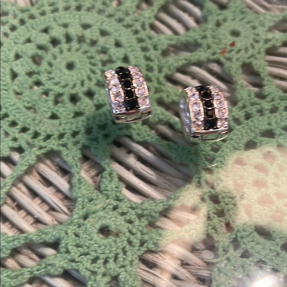 Elegant Black and Silver Earrings